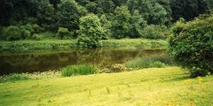 A photograph of a river in the Irish countryside