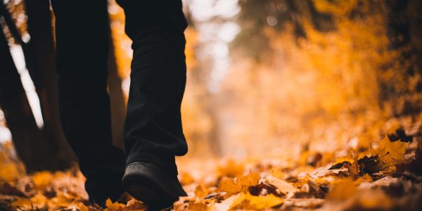 Man walking through autumnal leaves.
