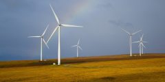 Windmill farm