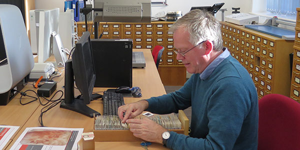 Art Historian Nicholas Alfrey examines a slide drawer in the DHC.