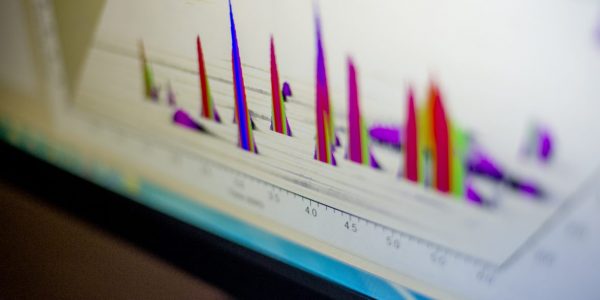 Stock image of graphs on a computer monitor