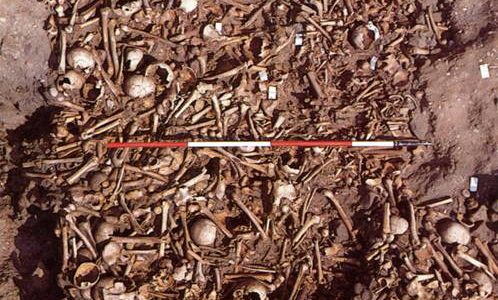 Bones from the excavations at Repton