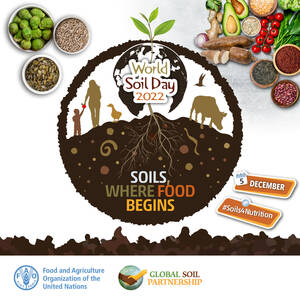 Soil surveys are one way to understand the properties of soil. This image is the logo for World Soil Day