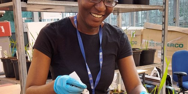 Veronica Guwela in glass house looking after pots of plants