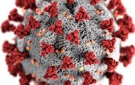 Graphic illustrating a virus particle