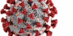 Graphic illustrating a virus particle