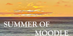Summer of Moodle series of posts