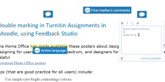 Double Marking in Turnitin Assignments