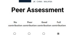 Screenshot showing the assessment critera options for students providing feedback to their peers using the Peer Assessment activity.