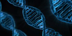 blue dna