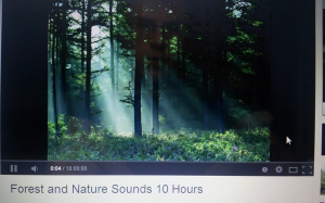 revision-music