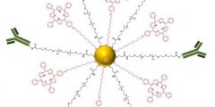 ‘Water soluble, multifunctional antibody-porphyrin gold nanoparticles for targeted photodynamic therapy’ by Oriol Penon, María J. Marín, David A. Russell and Lluïsa Pérez-García.