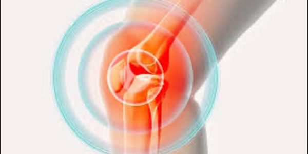 Image of a knee joint showing bone structures