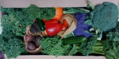SCoop veg box
